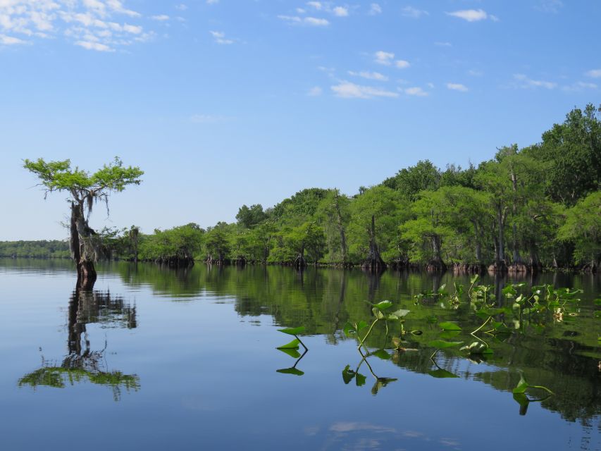 Orlando's Lake Norris: 5-Hour Kayak Explorer Tour With Lunch - Important Details