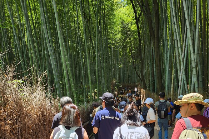 Osaka Dep, Arashiyama Ninnaji and Golden Pavilion Full Day Tour - Additional Information