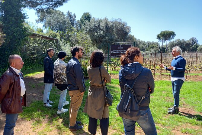 Ostuni DOC Wine Tour and Wine Tasting 2 Hours - Logistics and Meeting Information