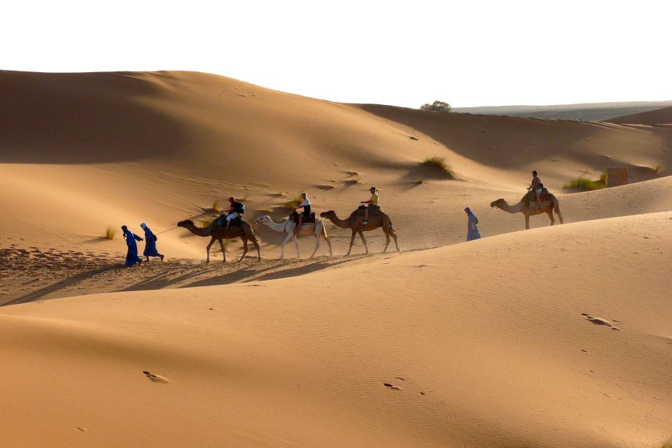 Ouarzazate: Tinfou Dunes, Camp & Camel Ride Day Trip - 1 Day - Explore Tamgroutes Cultural Treasures