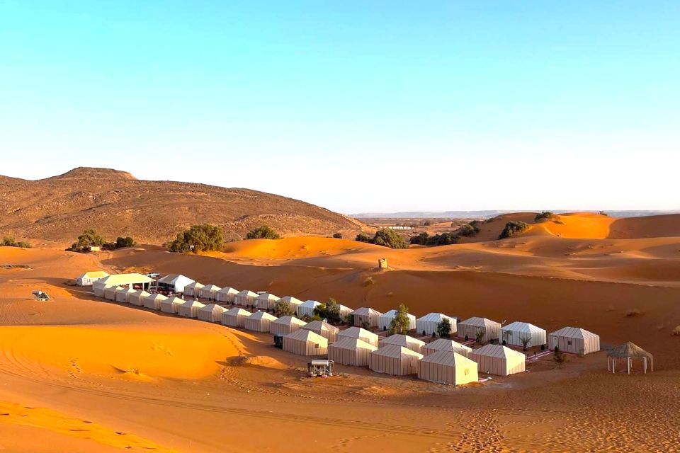 Ouarzazate to Marrakech: 3-Day Desert Tour With Camel Trek - Customer Reviews and Testimonials