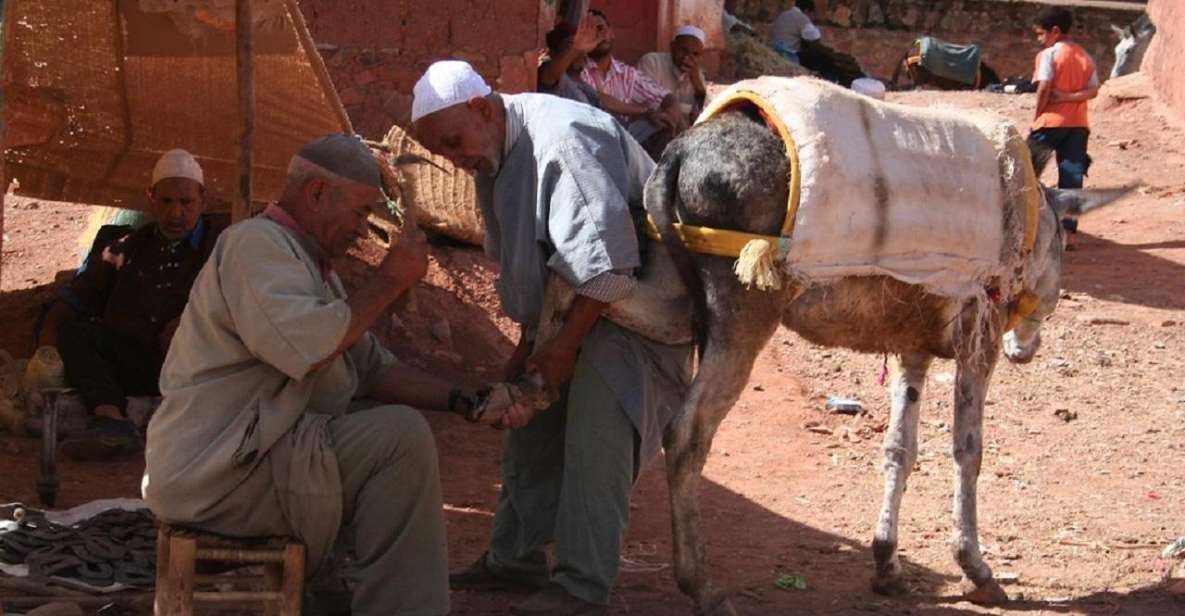 Ouirgan Berber Villages & Salt Mine Day Trip From Marrakech - Customer Experience and Feedback