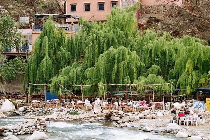 Ourika Valley Day Trip From Marrakech - Pricing Details