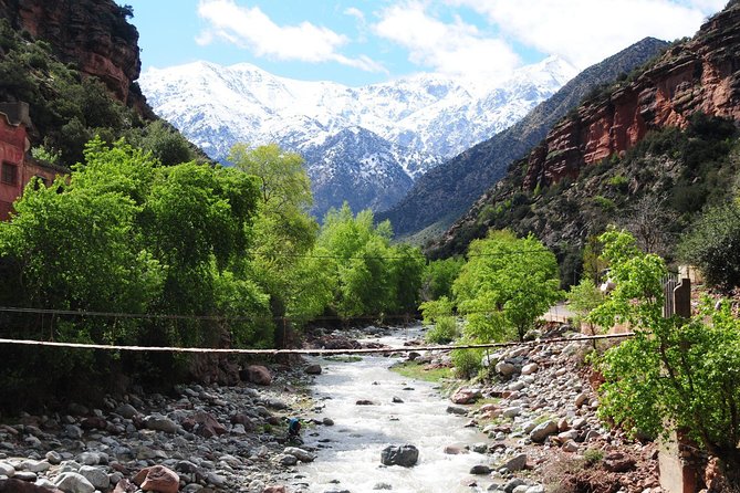 Ourika Valley Day Trip From Marrakech - Booking Information and Contact Details