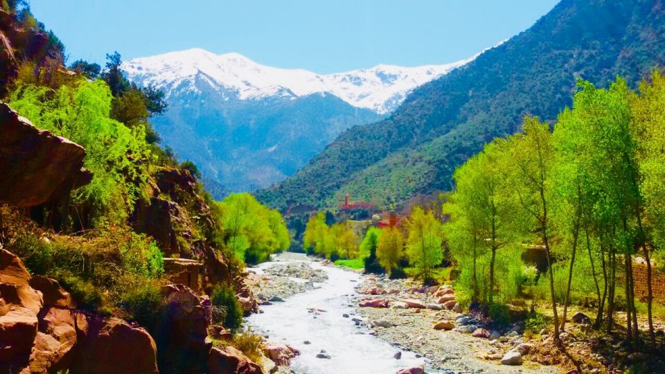 Ourika Valley With Atlas Mountains Day Trip From Marrakech - Customer Reviews