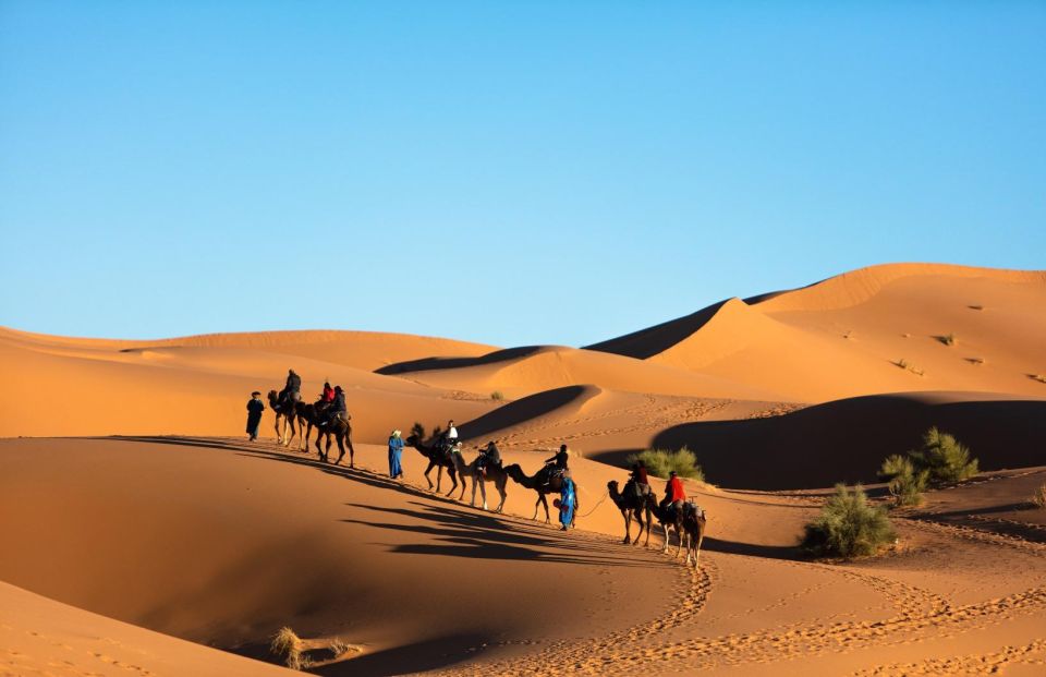 Overnight in Merzouga Desert Camp With Camel Rides and Food - Experience