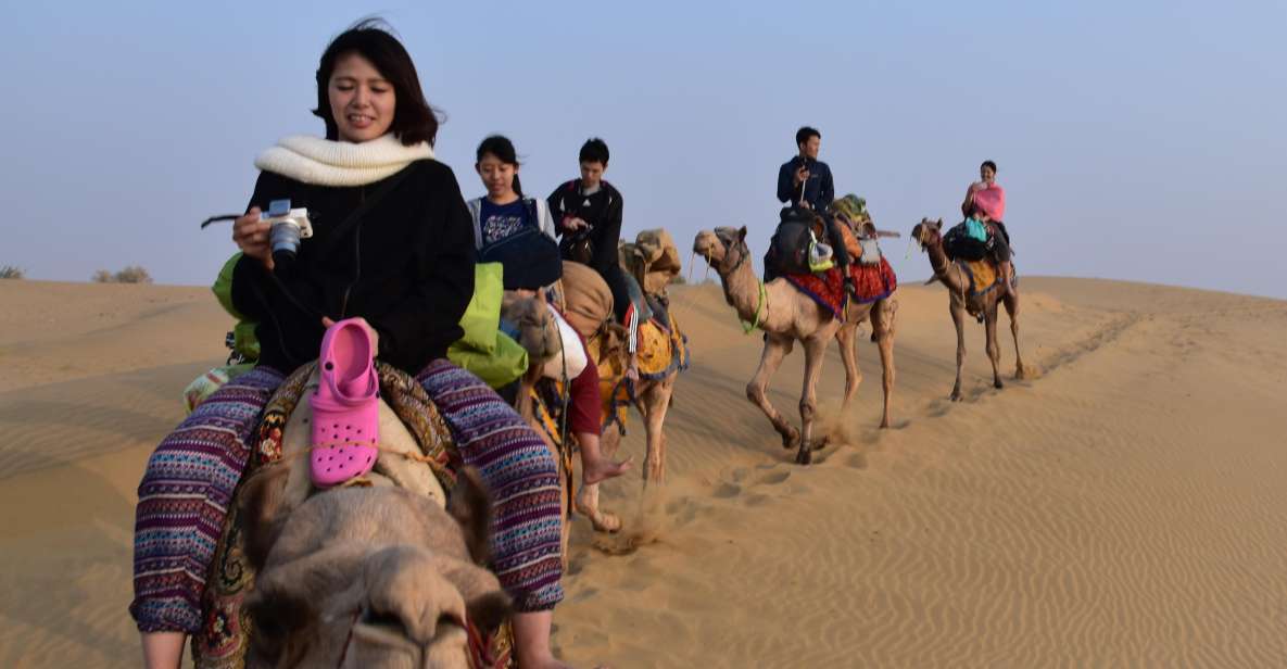 Overnight Luxury Desert Camping With Camel Safari - Key Points