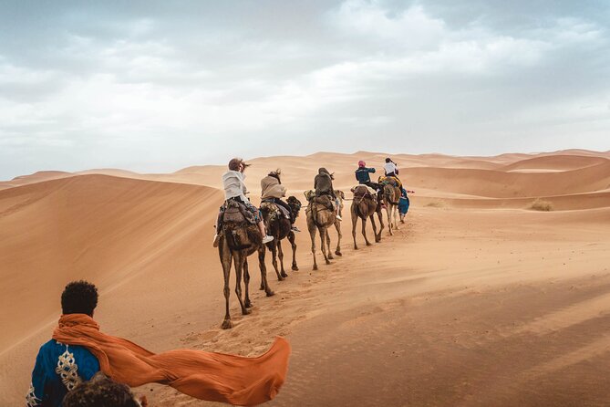 Overnight Tour From Fes to Sahara Desert - Assistance and Support