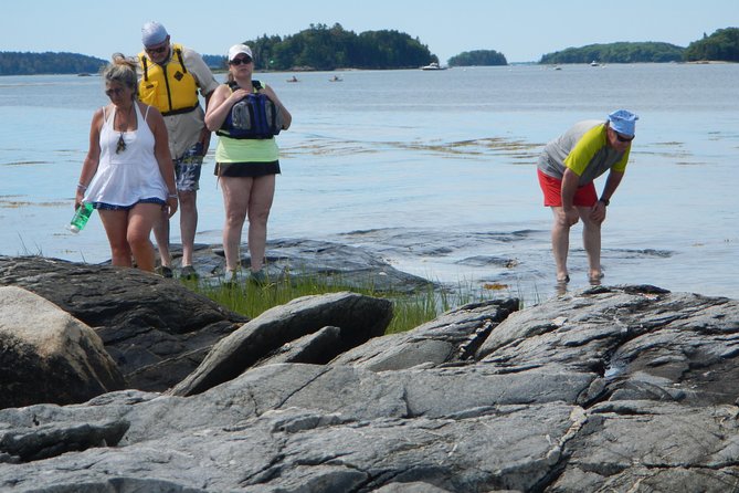Oyster Farm & Complimentary Tasting Sea Kayak Tour in Casco Bay - Tour Pricing Information