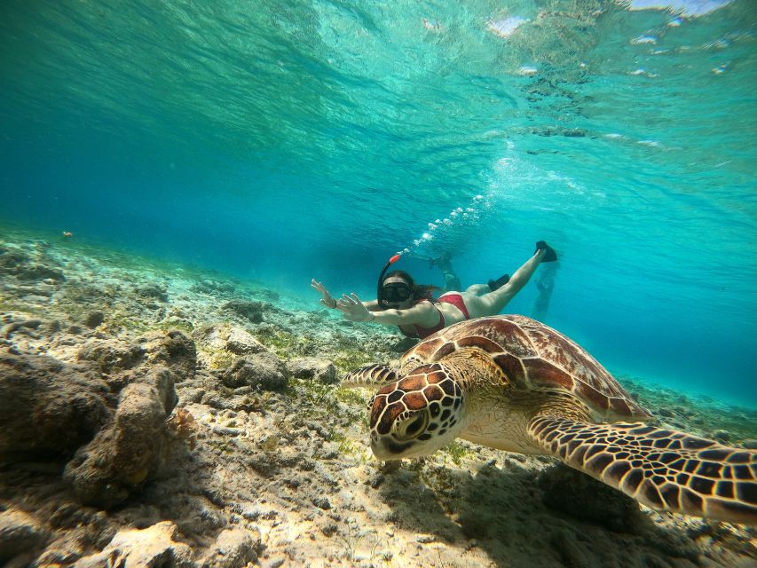 Ozzy Snorkeling 3 Islands - Common questions