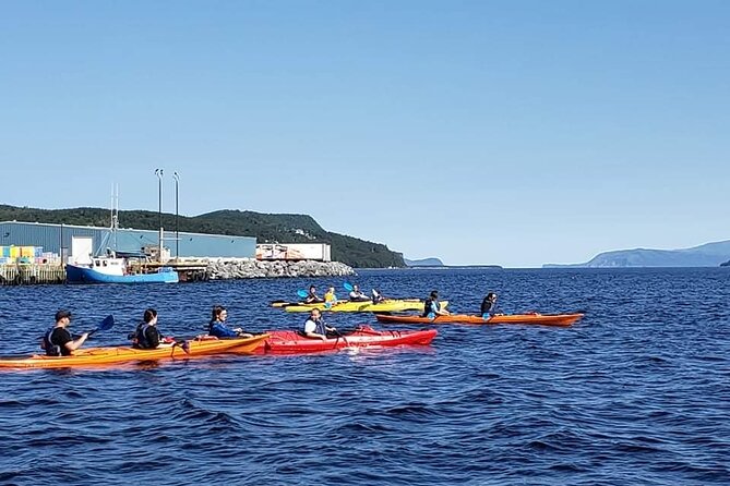 Paddle the Bay of Islands: 2 Hours Guided Kayak Experience - Terms & Conditions