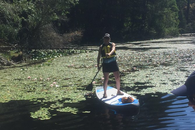 Paddling Thetis Lake - Reviews, Pricing, and Location