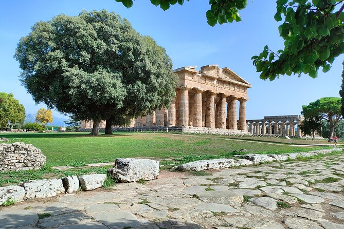 Paestum Traditions, Buffaloes, Ceramics, Temples - Cultural Heritage and Traditions
