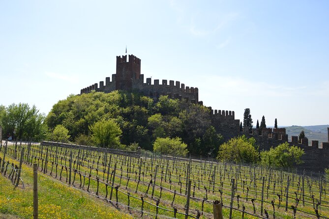 Pagus Wine Tours - Soave and Amarone - Half Day Wine Tour - Customer Reviews