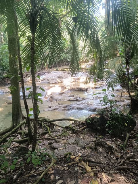 Palenque Archeological Zone and Roberto Barrios Waterfalls - Natural Wonders and Wildlife