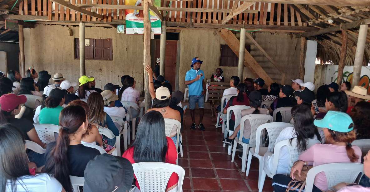 Palenque; Traditional Medicine and House Museum. - Inclusions