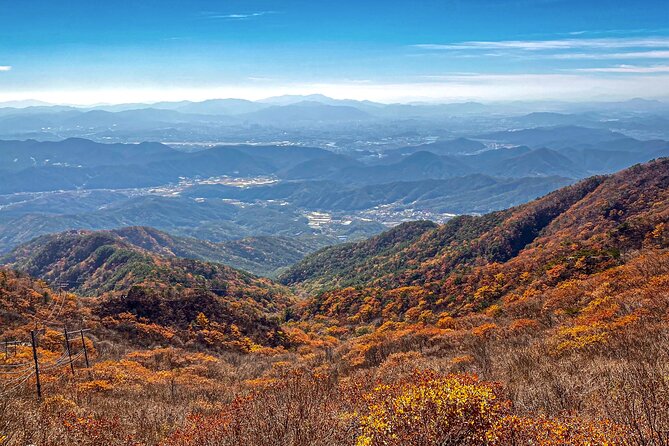 Palgongsan Natural Park Autumn Foliage One Day Tour From Busan - Logistics Information