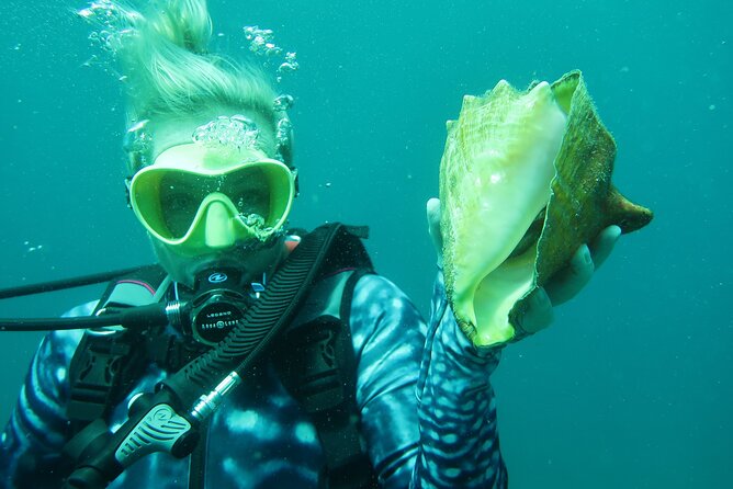 Palm Beach Private Snorkeling Lessons and Tour  - West Palm Beach - Booking and Cancellation Policies