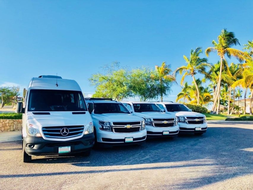 Palma De Mallorca: Private Transfer To/From Mallorca Airport - Full Description