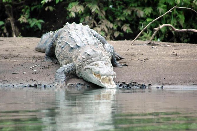 Palo Verde National Park River Jungle Safari - Last Words