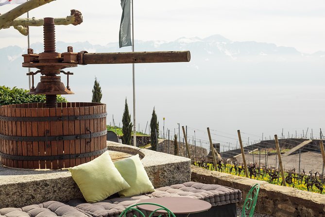 Panoramic Wine Tour From Lausanne - Traveler Recommendations