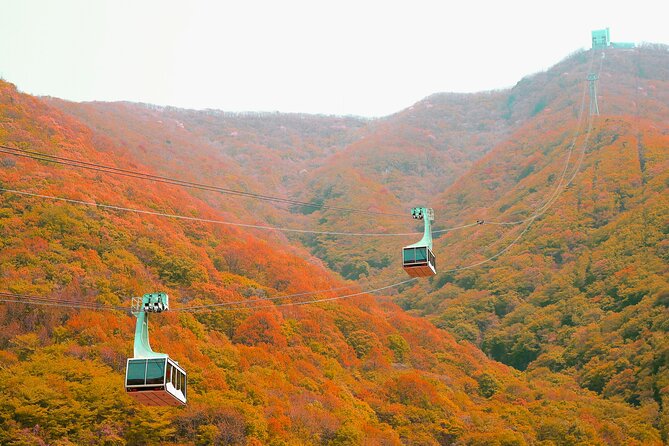 Panoramic Yeongnam Alps Gondola Autumn Foliage Tour From Busan - User Reviews
