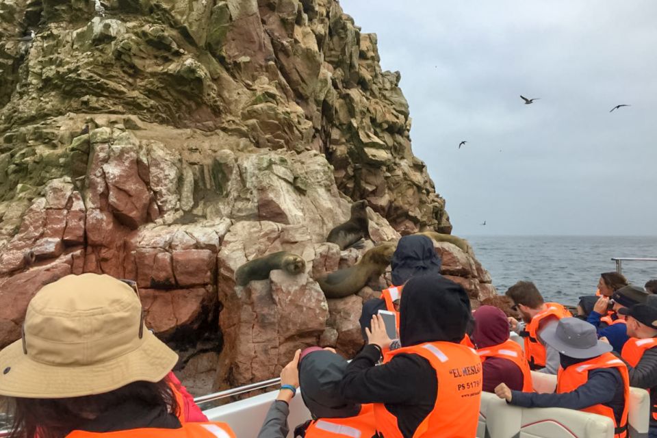 Paracas: Ballestas Islands Morning Boat Tour - Review Summary