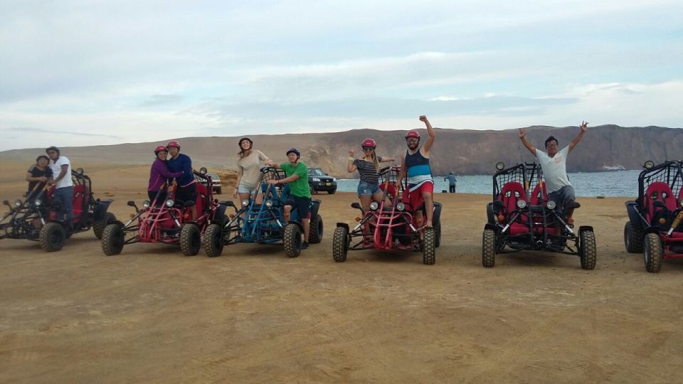 Paracas: Mini Buggy Ride in Paracas National Reserve - Tour Highlights