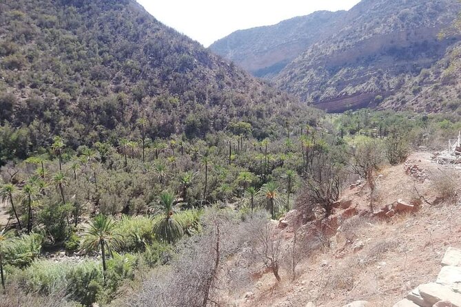 Paradise Valley Trekking - Legal Details and Copyright Information