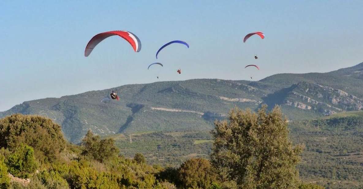 Paragliding Tandem Flight From Madrid - Language and Instructor Details