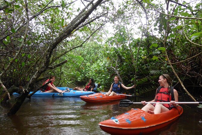 Paraty Small-Group Mangrove Kayak Tour - Traveler Photos
