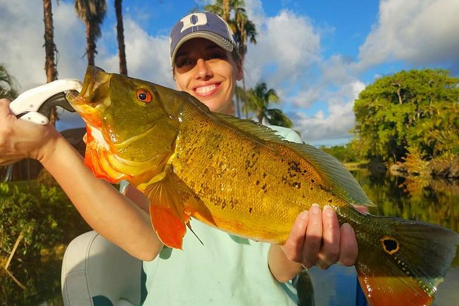 Peacock Bass Fishing Trips Near Miami Florida - Traveler Feedback and Reviews
