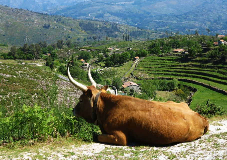 Peneda-Gerês: Full-Day Premium Tour - Ethnographic Museum and Lunch