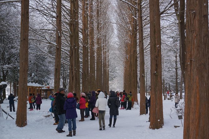 [Perfect Private Tour] Nami Island, Petite France and Organic Strawberry Farm - Traveler Photos