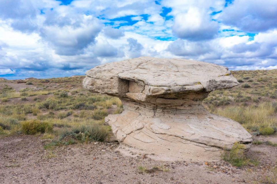 Petrified Forest National Park Self-Guided Audio Tour - Tour Access