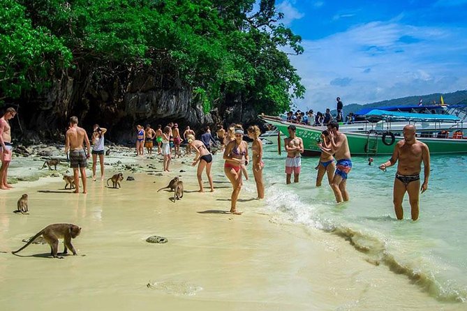 Phi Phi Island Half Day Tour From Phi Phi by Longtail Boat - Reviews