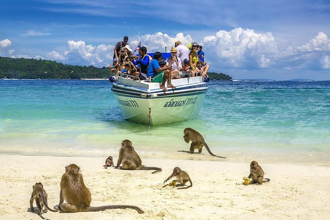 Phi Phi Island Tour by Speedboat From Krabi With Lunch (Sha Plus) - Reviews, Pricing, and Booking