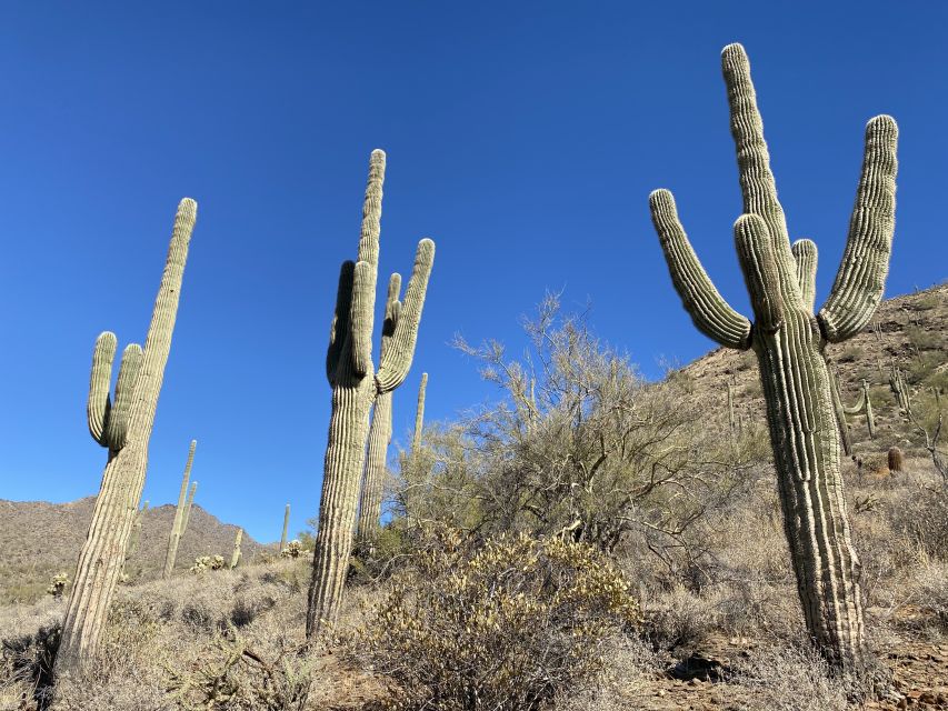 Phoenix: Sonoran Desert Guided Hiking Adventure - Last Words