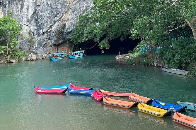 Phong Nha & Paradise Cave - 1 Day All Inclusive - Customer Feedback and Suggestions