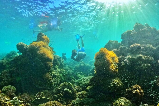 Phu Quoc Private Coral Jungle Reef Snorkel Tour - Safety Guidelines