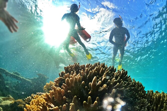 Phu Quoc Private Half-Day Snorkeling Adventure - Customer Reviews