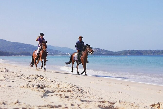 Phuket Beach and Horse Rides 1 Hour Experience - Rider Safety Guidelines