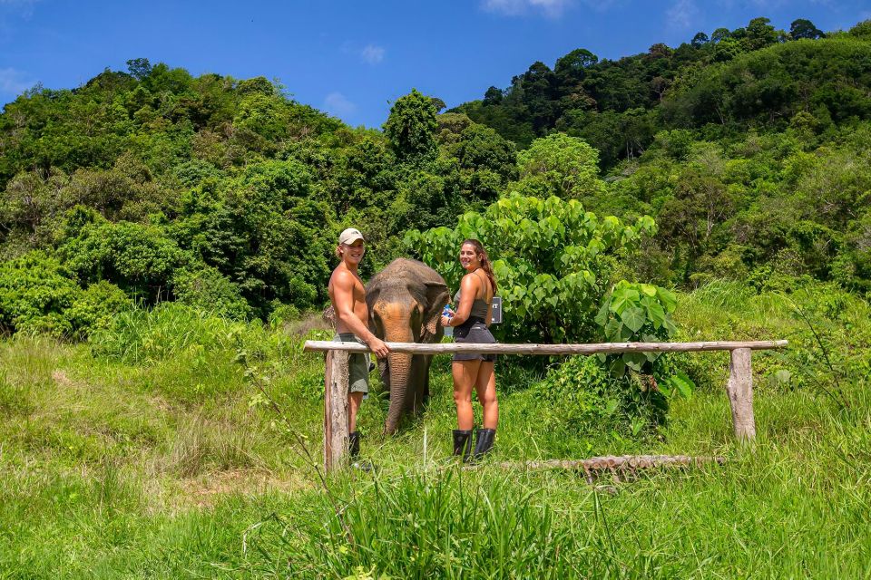 Phuket: Ethical Elephant Nature Park Visit With Lunch - Bukit Elephant Park Experience