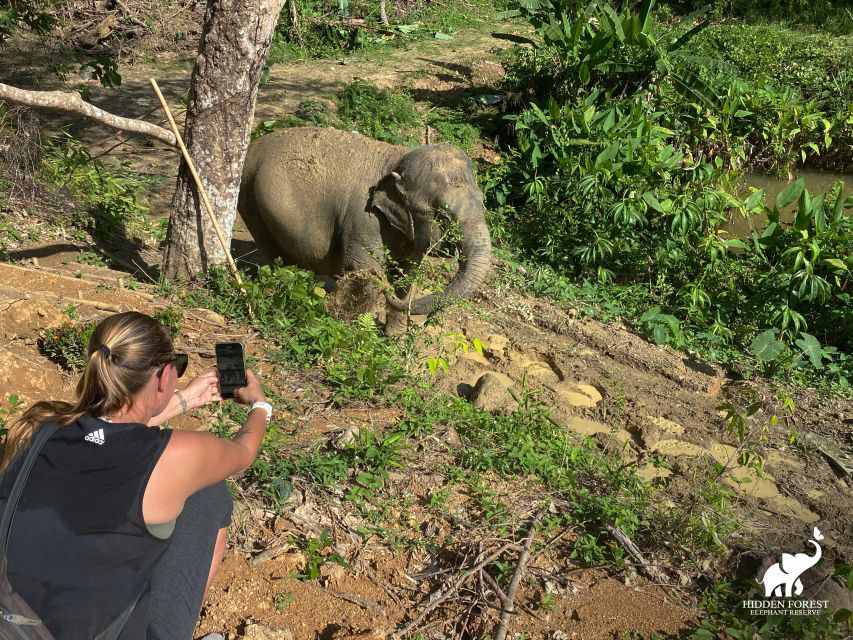 Phuket: Hidden Forest Elephant Reserve With Lunch & Transfer - Reserve Description