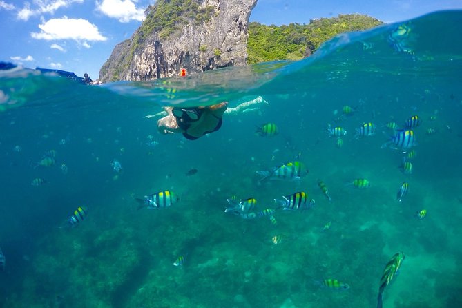 Phuket to Phi Phi Islands by Express Ferry Including Lunch - Last Words