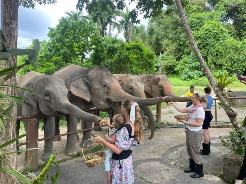 Phuket: Walk and Feed Ethical Elephant Nature Park Tour - Additional Information