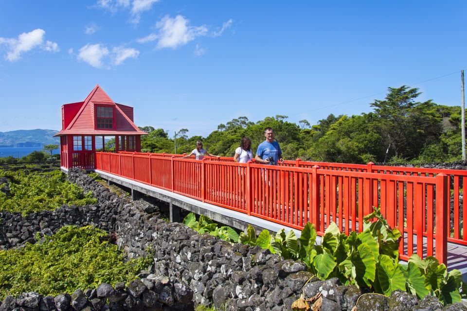 Pico Island: Full Day Wine Culture Tour - Full Description