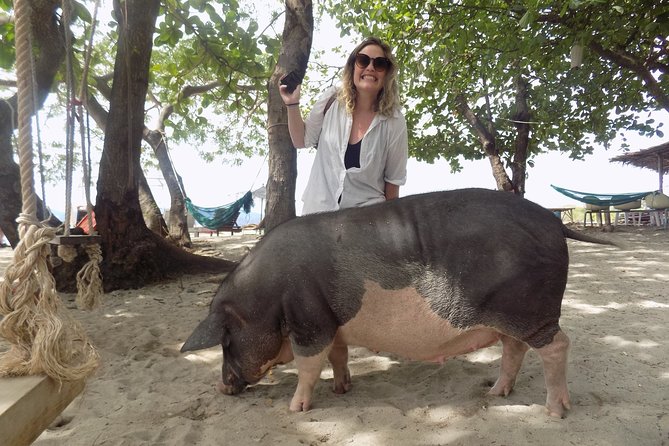 Pig Island Snorkeling & Sightseeing Tour By Speedboat From Koh Samui - Customer Reviews