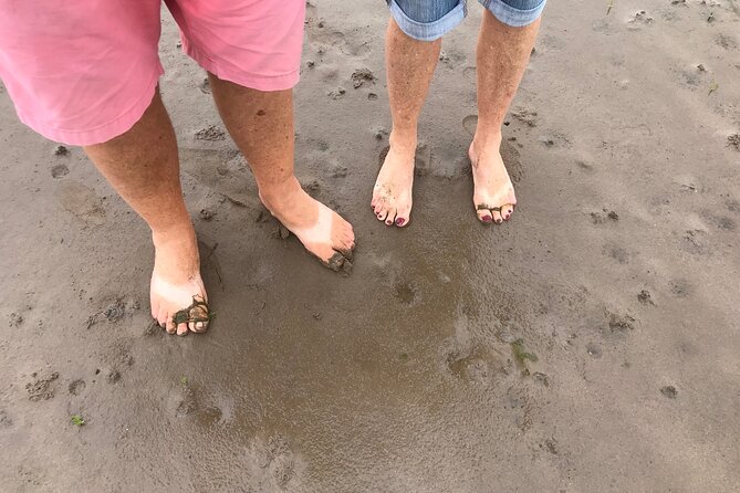 Pilgrims Path Walk Across the Sands to Holy Island - Stunning Photos From the Journey