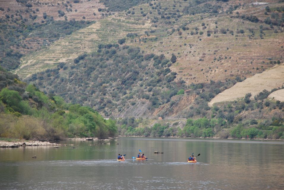 Pinhão: 4 Hour Douro Valley Kayak Rental - Common questions